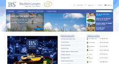Desktop Screenshot of blaustein.pro
